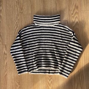 Zara Knit Cowl/Turtleneck Striped Cropped Sweater